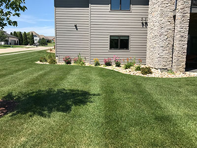 Yard irrigation system for grass